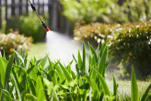 24/7 Emergency Wasp Removal experts in Powell, OH